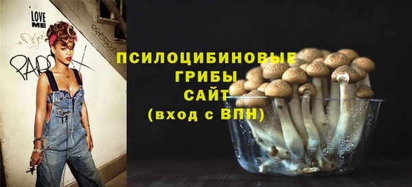 хмурый Белокуриха
