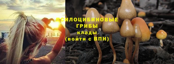 хмурый Белокуриха