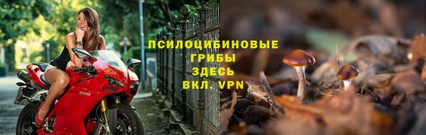 хмурый Белокуриха
