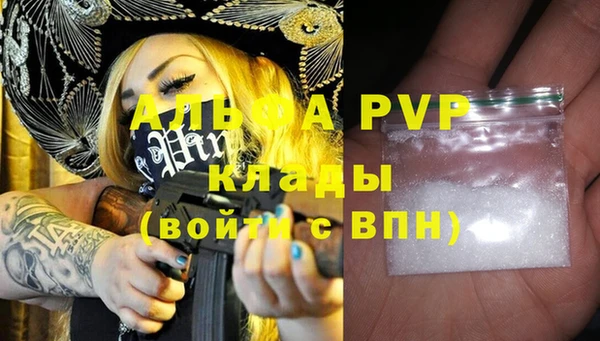 хмурый Белокуриха