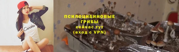 хмурый Белокуриха