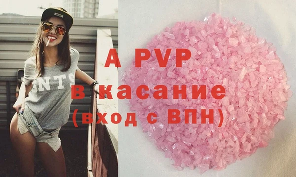 хмурый Белокуриха