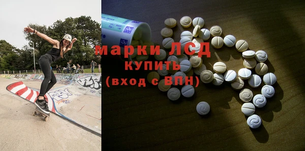 хмурый Белокуриха