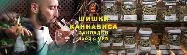 хмурый Белокуриха