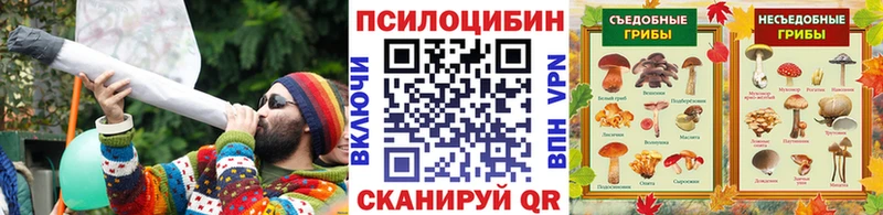 Псилоцибиновые грибы мухоморы  Вельск 